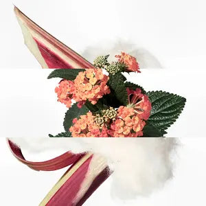 Hermès Eau de Rhubarbe Écarlate Eau de Cologne Vaporizador 200 ml