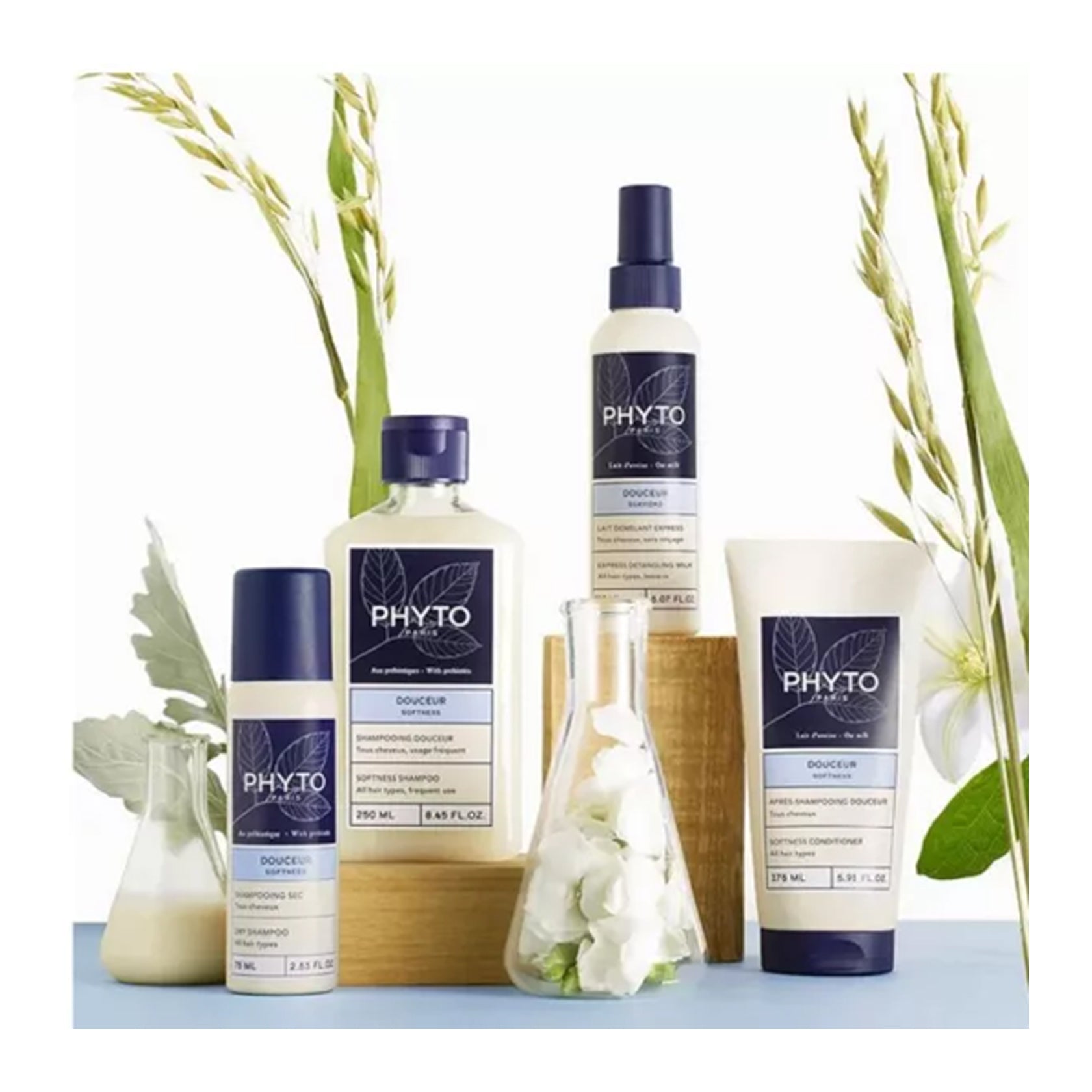 Phyto Softness champô seco 75ml