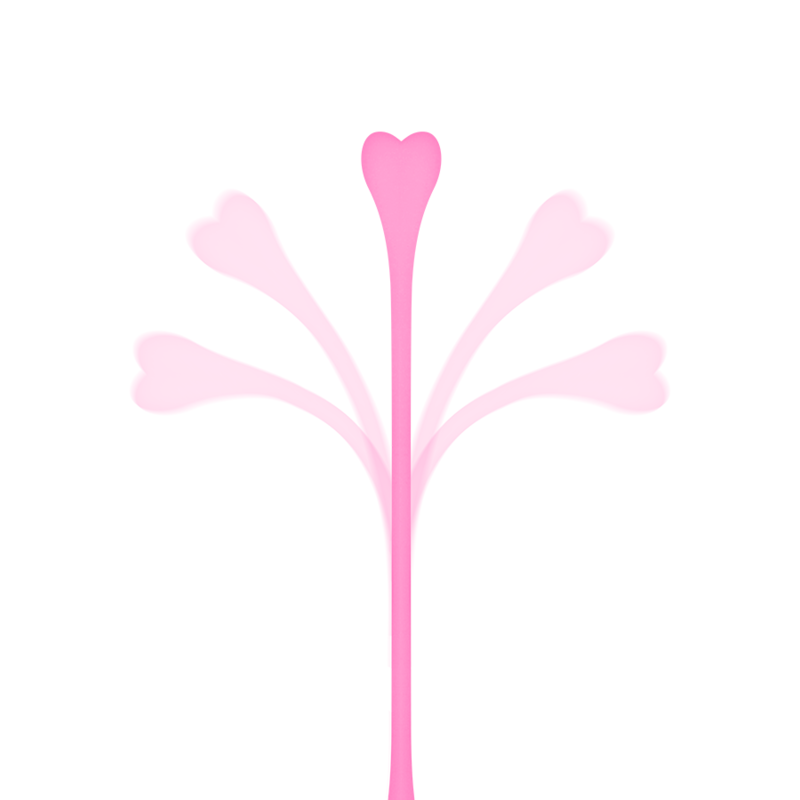 Ohmama Conjunto de 5 Bolas de Exercício Kegel