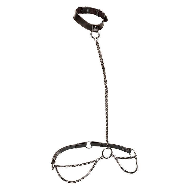 Calexotics Euphoria Chain Halter Coleira e Trela Tamanho Grande