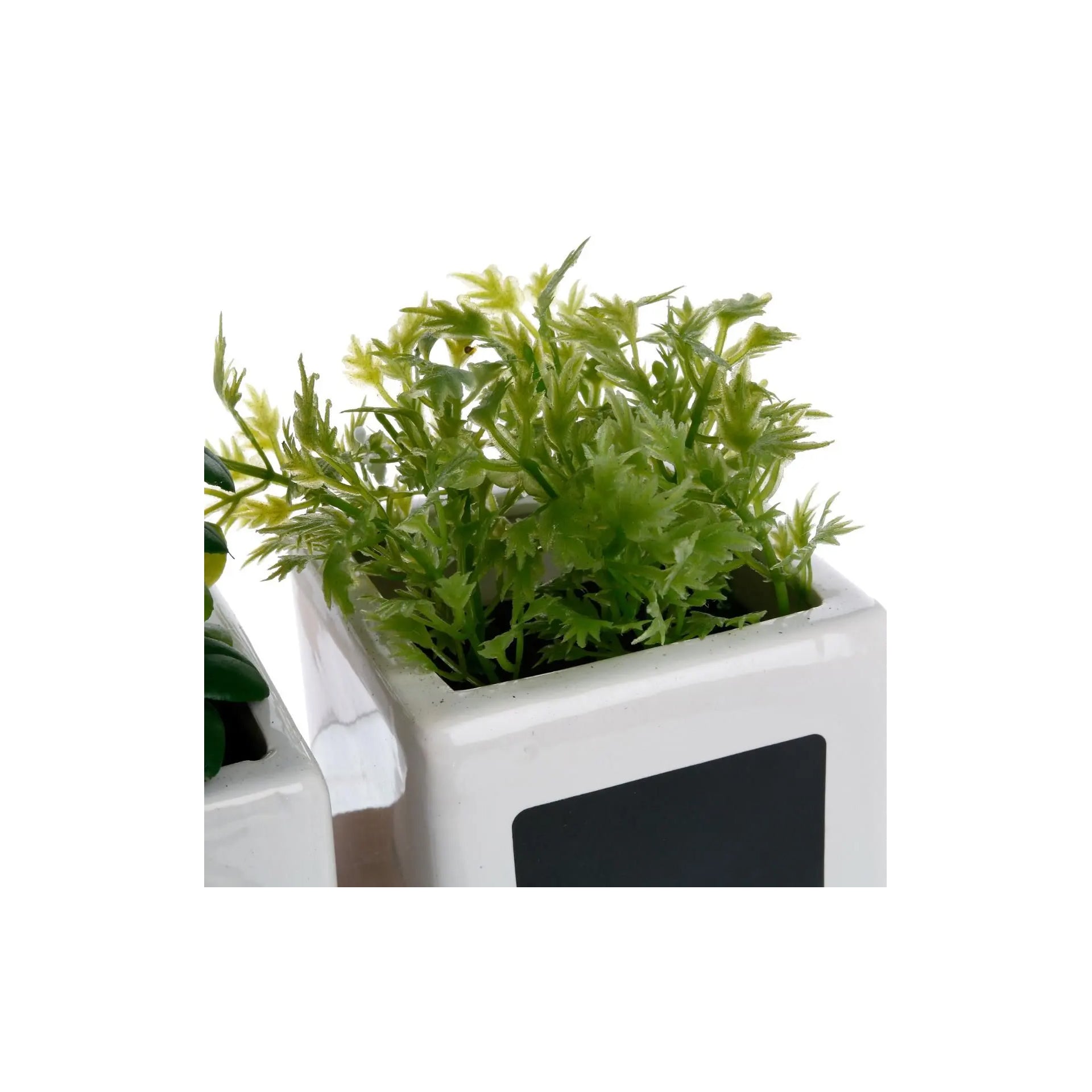 HKH Conjunto 3 Potes Ervas Aromáticas Artificiais com Base