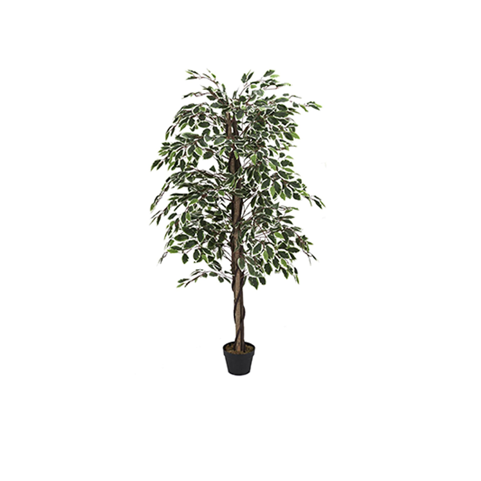 Ficus Artificiale Low Cost Verde da 125 a 200 cm Ficus Artificiale Low Cost Verde da 125 a 200 cm
