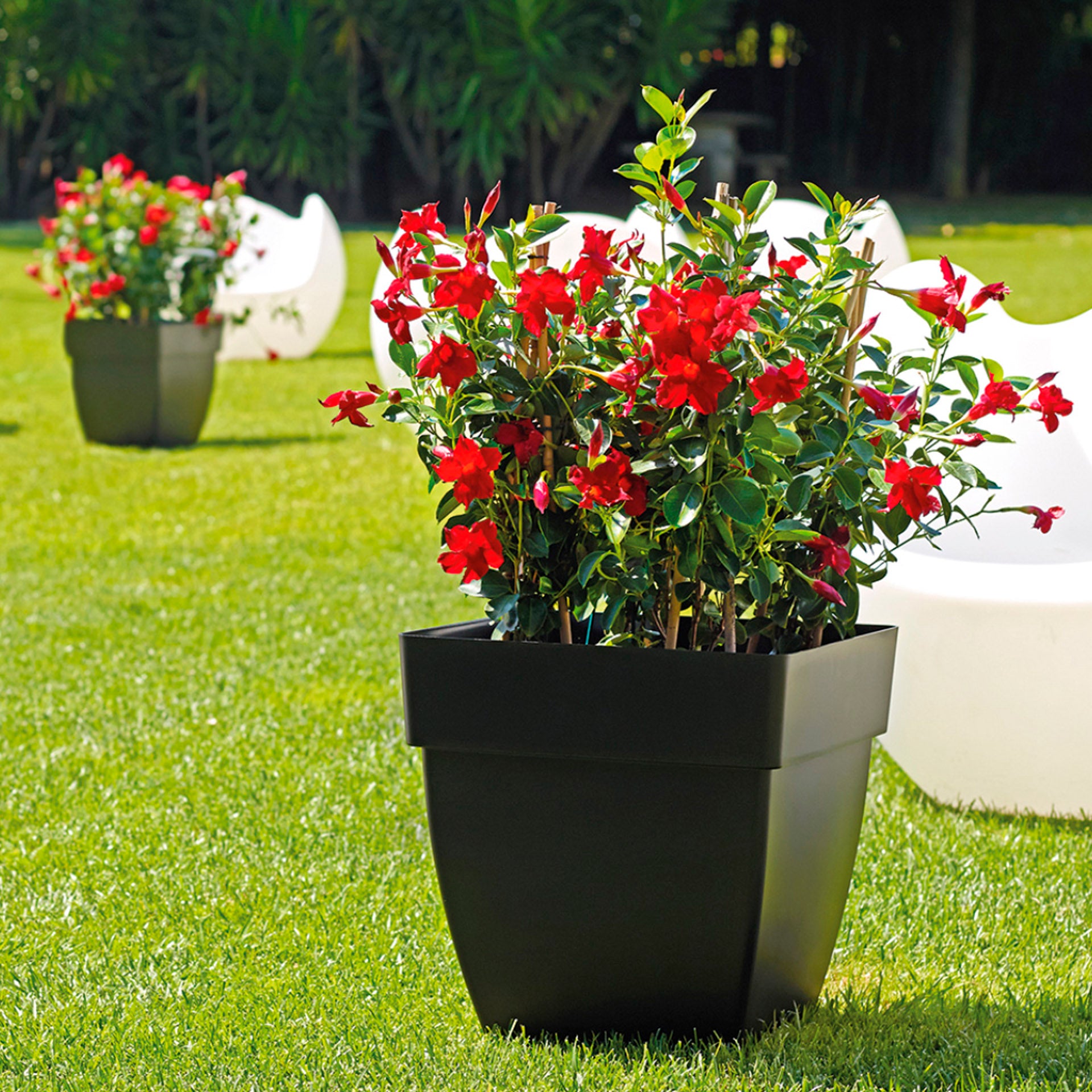 Artevasi Florero Capri 35 cm Cuadrado Antracita