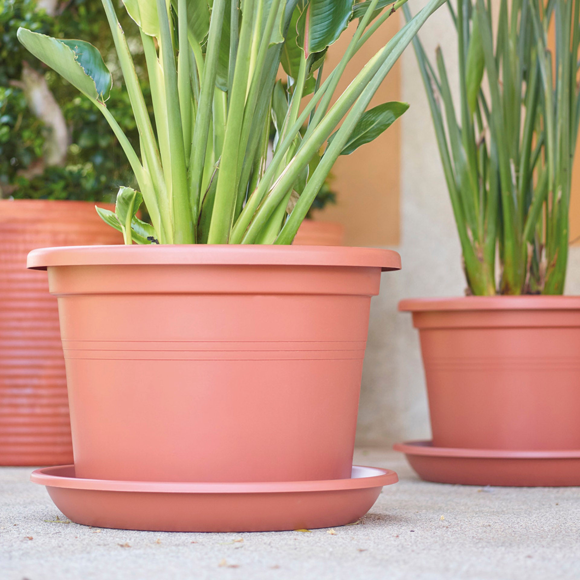 Artevasi Plato Capri Redondo 16 cm Blanco